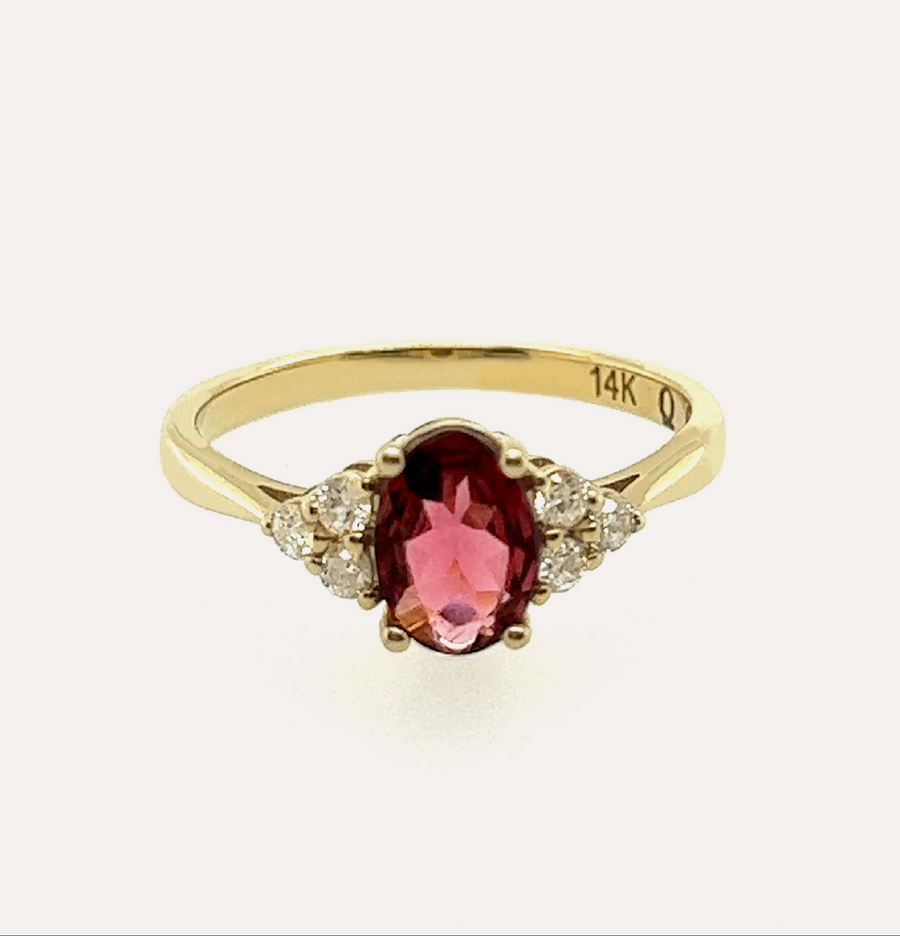 Shioban | 14K Gold & Rubellite Tourmaline