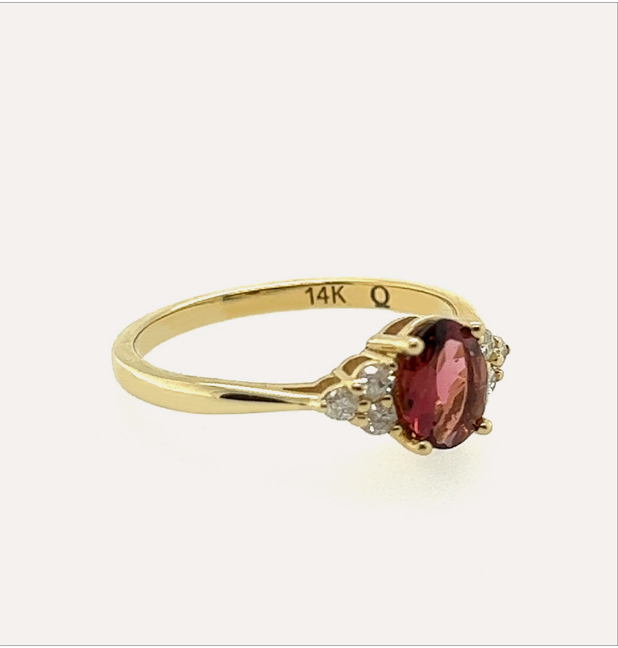 Shioban | 14K Gold & Rubellite Tourmaline