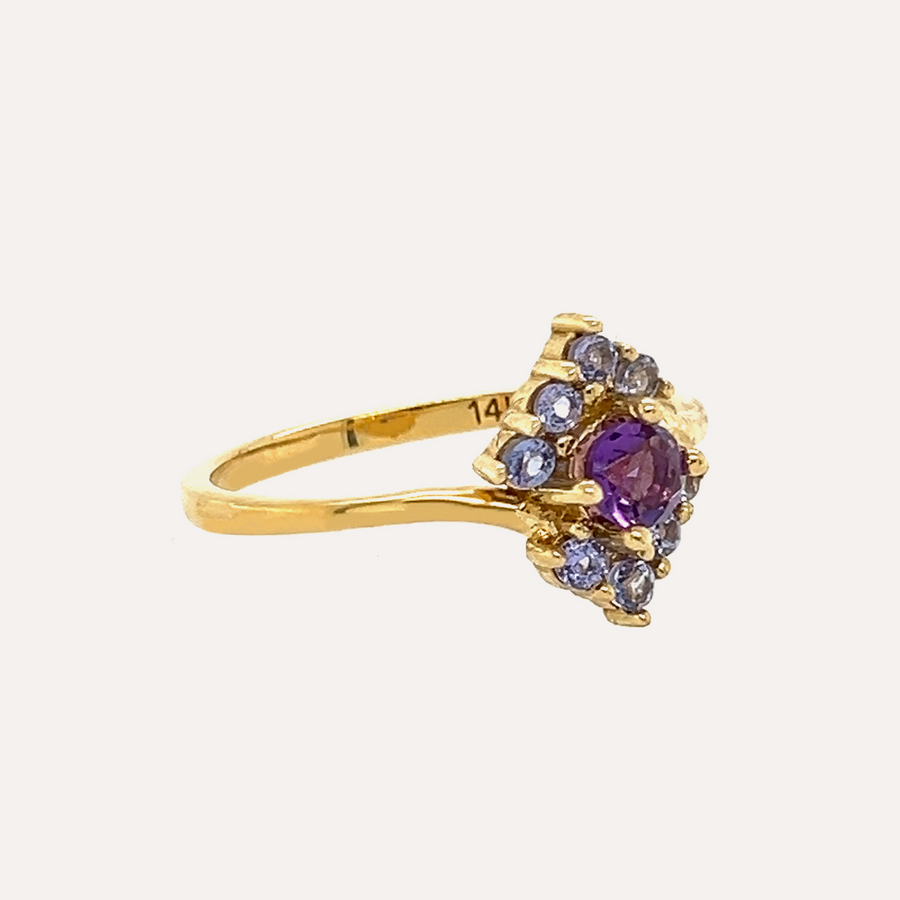 Celie | 14K Amethyst & Tanzanite