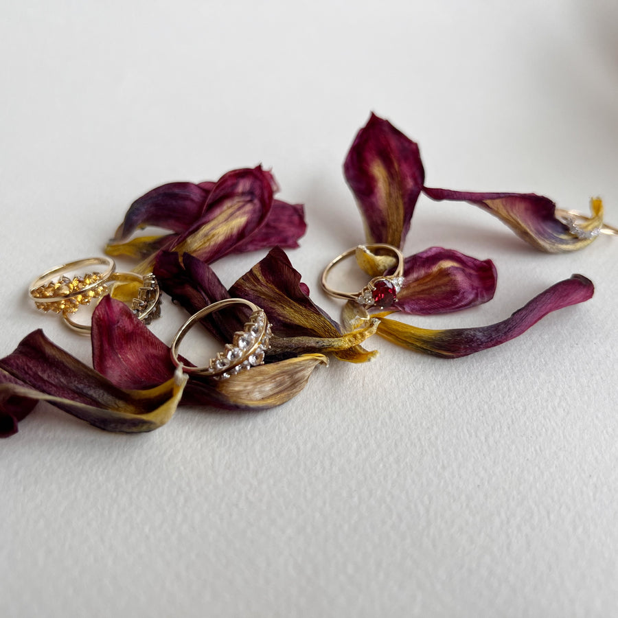 Shioban | 14K Gold & Rubellite Tourmaline