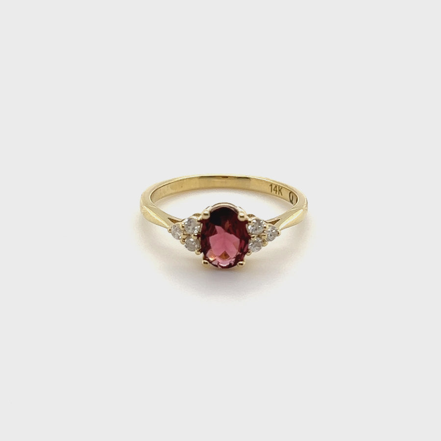 Shioban | 14K Gold & Rubellite Tourmaline