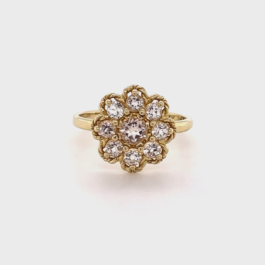 Penelope | 14K Gold Morganite