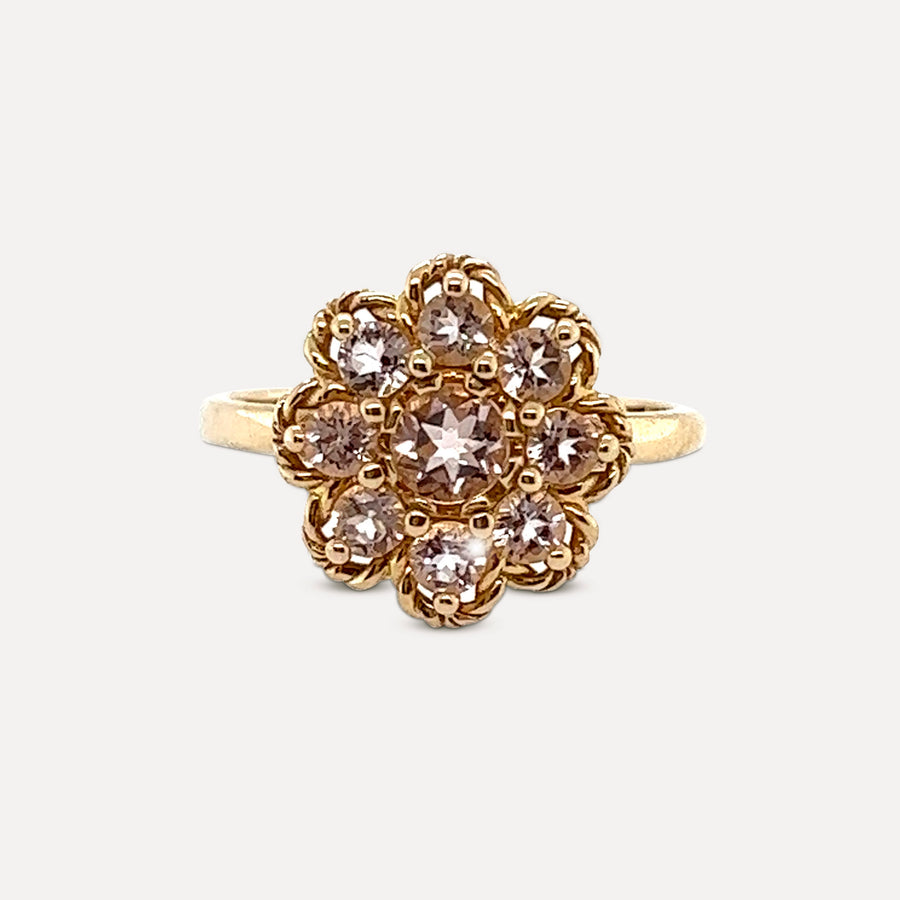 Penelope | 14K Gold Morganite