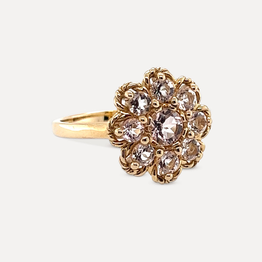 Penelope | 14K Gold Morganite