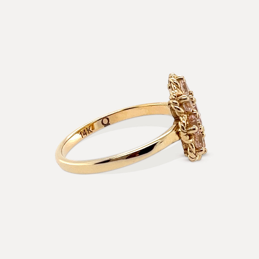 Penelope | 14K Gold Morganite